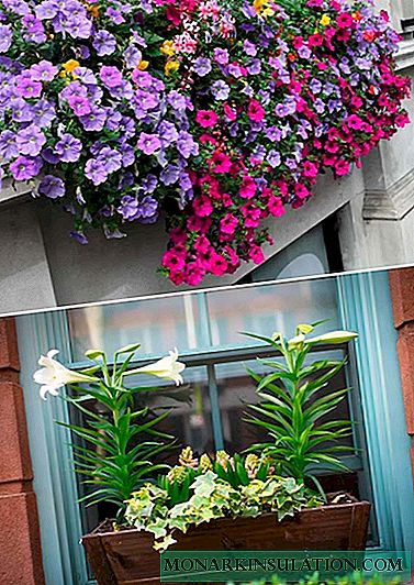 Flores fóra da fiestra: como decorar unha casa fóra