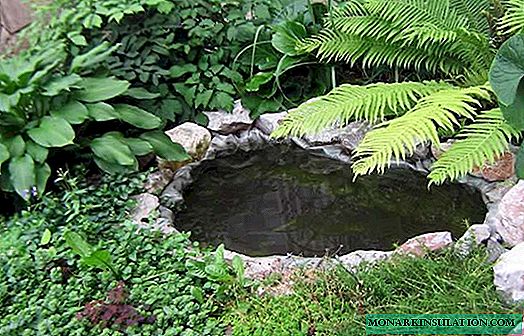 Како да се направи земја езерце од стар слив чекор по чекор