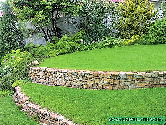 Predivan vrt na padinama: držeći zidne ideje za koso zemljište