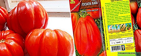 Tomato Puzata hut: tombony sy tsy fatiantoka ny karazany, famaritana, fambolena sy fikarakarana