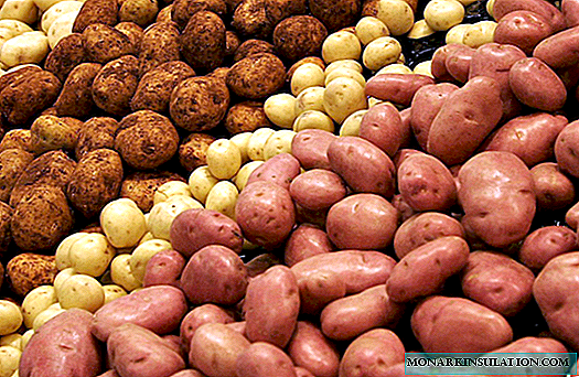 Собрани компири сорти