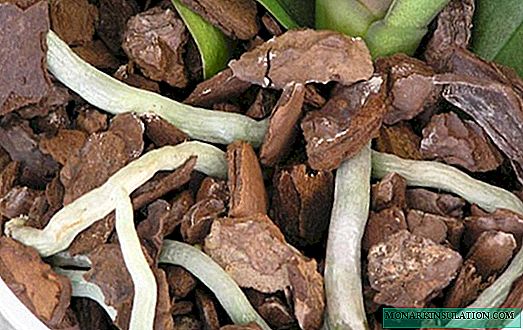 Орхидеяға арналған қабық: дайындау және қолдану мысалдары