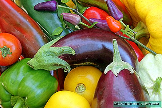 Solanaceous groente - lys van plantname