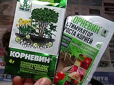 Que é bo Kornevin, se precisa crecer as raíces dunha orquídea? Que máis é o medio efectivo?