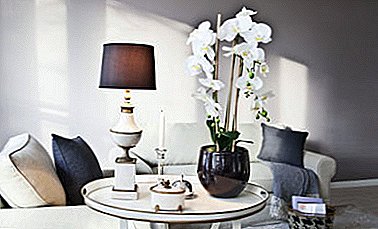 Engadimos refinamento ao interior: orquídeas nun vaso de vidro, matraz e outros recipientes