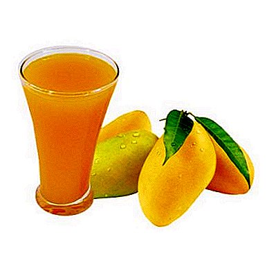 Mango egzotično voće: zdravstvene beneficije