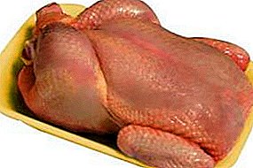 Kako obrađivati ​​i skladištiti trupove peradi, kako probaviti piletinu nakon klanja?