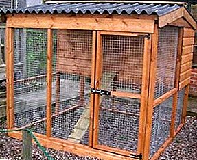 Como construír unha gaiola para as galiñas coas túas propias mans?