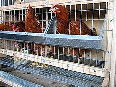 Kako napraviti kavez za kokoši nesilice vlastitim rukama? Fotografije i gotovi crteži sa dimenzijama