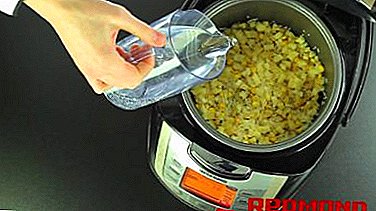 Como cociñar o millo nun multicooker de Redmond? Receitas útiles