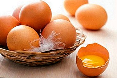 SanPiN-ə uyğun olaraq otaq temperatüründə xam toxum yumurtasının evdə saxlama müddəti nədir?