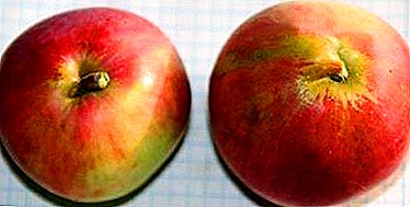 Kyakkyawan kuma dadi apples za su ba da iri-iri Screen