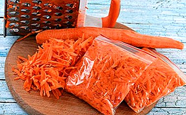 Дали е можно да се замрзне моркови за зимата во рендан, варена форма или целина? Ги опишуваме методите на конзервација