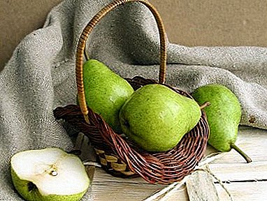 A mesa de ano vai decorar as variedades de peras de xaneiro