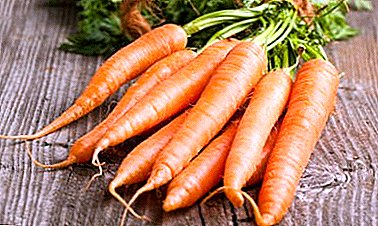 چگونه هویج را در شیشه ها و جعبه ها برای زمستان نگه دارید. راهنمایی های باغبان های با تجربه