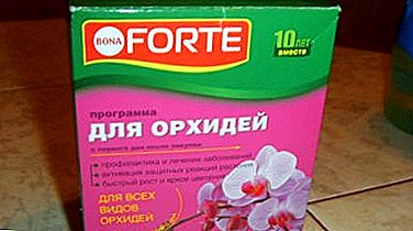 Ukubuyekezwa komanyolo odumile we-orchids "Bona Forte". Imiyalo yokusetshenziswa