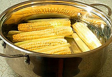 Karakteristikat e zgjedhjes dhe recetave më të mira, si të përgatitni misër në kova në një tigan është e shijshme dhe e saktë. Para dhe pas fotove