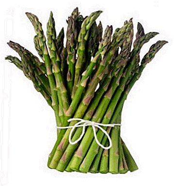 Sakafo ho an'ny mpanjaka - Spar ny fotsy (asparagus)