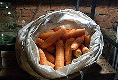 Детали за тоа како да се складира моркови во подрумот во зима во шеќер торби
