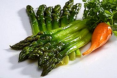 Asparagus (asparagus) च्या उपयुक्त गुणधर्म आणि आरोग्यासाठी त्याच्या वापरातून संभाव्य हानी