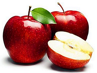 સફરજનની પાનખર જાતોના સંગ્રહ અને સંગ્રહ: ક્યારે એકત્રિત કરવું અને શિયાળા માટે કયા ફળો છોડવા?