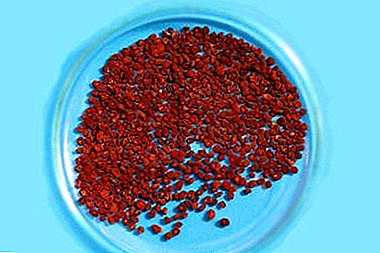 Mixtures of seeds "Cyclamen Mix": - her cûreyên populer, çiqas çêdikin wan û çandiniyê ji bo bargiraniyê dikin