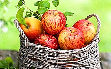 Խնձորային զանազան զարմանահրաշ ձմեռային դաժանություն - Նոր դարչին