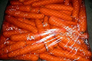 Consellos de xardineiros: podo lavar as zanahorias antes de almacenar?