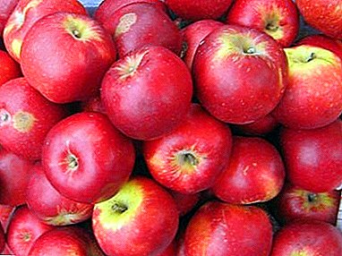 Apel macem-macem apel vintage gedhe Aport getih abang