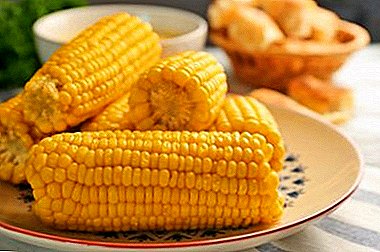 Успешни рецепти: колку доволно брзо да се готви пченка?