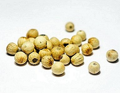 Cultivando guisantes de pementa branca na casa: propiedades útiles dunha planta