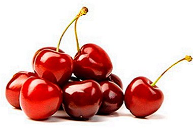 Berries ឆ្ងាញ់ជាមួយនឹងការថែទាំអប្បបរមា - យុវជន Cherry